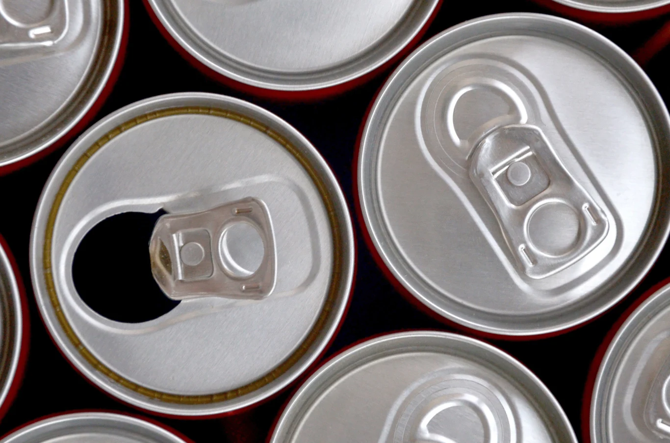 Puszki nie tylko są brudne, ale są obiektem zainteresowania pszczół, których użądlenie może okazać się śmiertelne