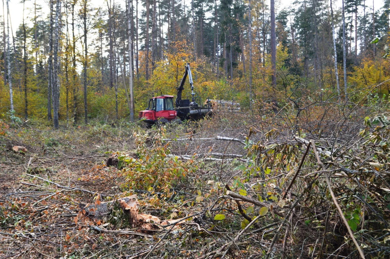 Zdaniem aktywistów, takie maszyny miały na teren Puszczy nie wjeżdżać Zdaniem aktywistów, takie maszyny miały na teren Puszczy nie wjeżdżać