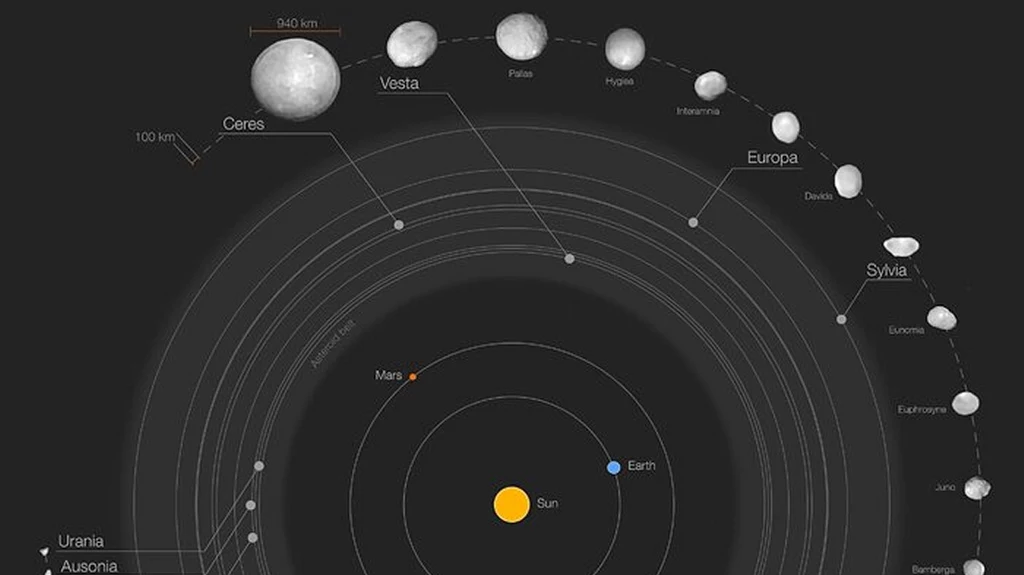 42 dokładne obrazy planetoid z Pasa Głównego