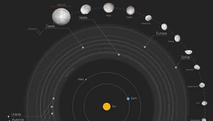 Oto 42 największe planetoidy Układu Słonecznego na jednym zdjęciu