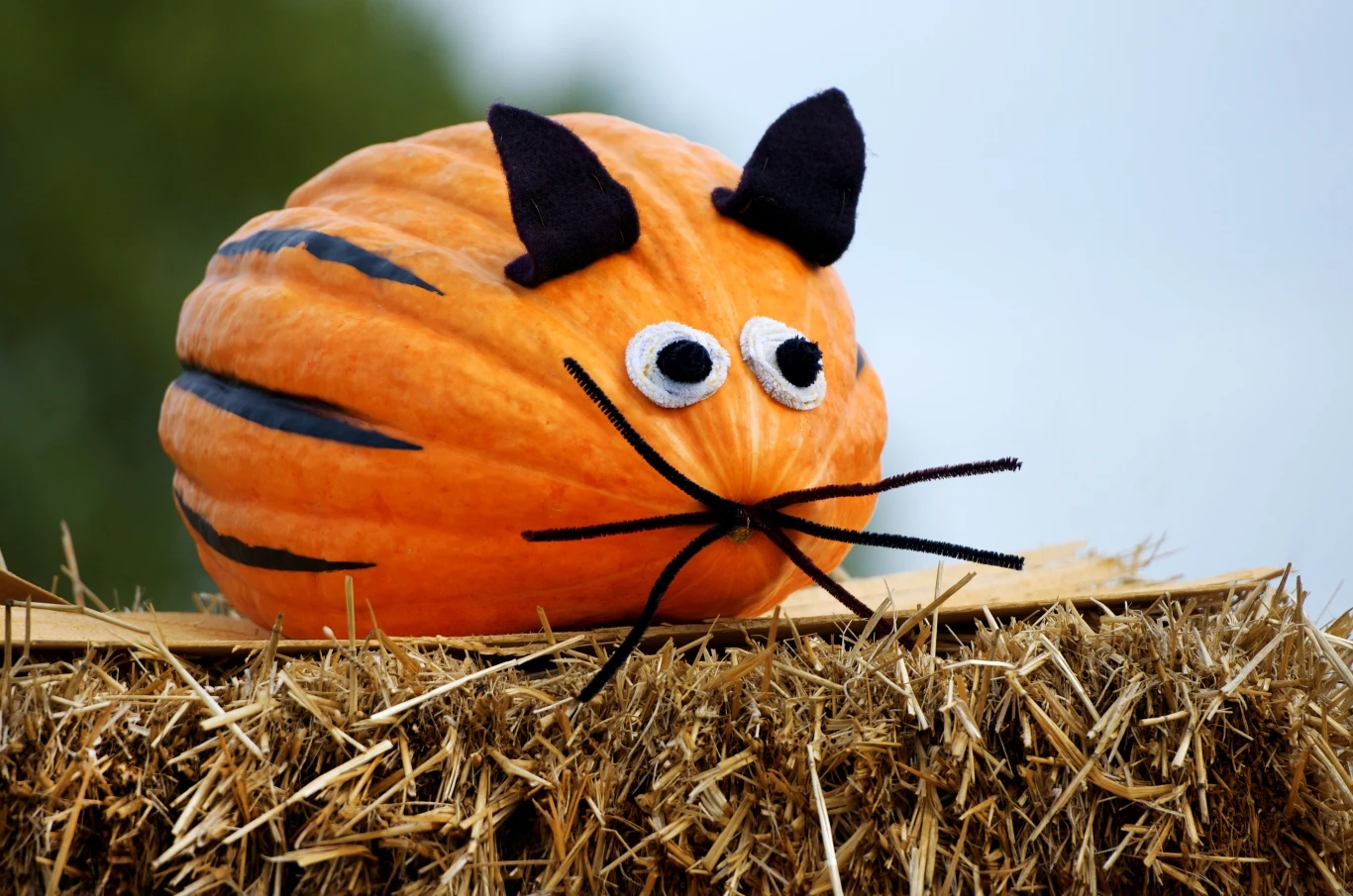 Halloween to niewinne święto? Halloween to niewinne święto?