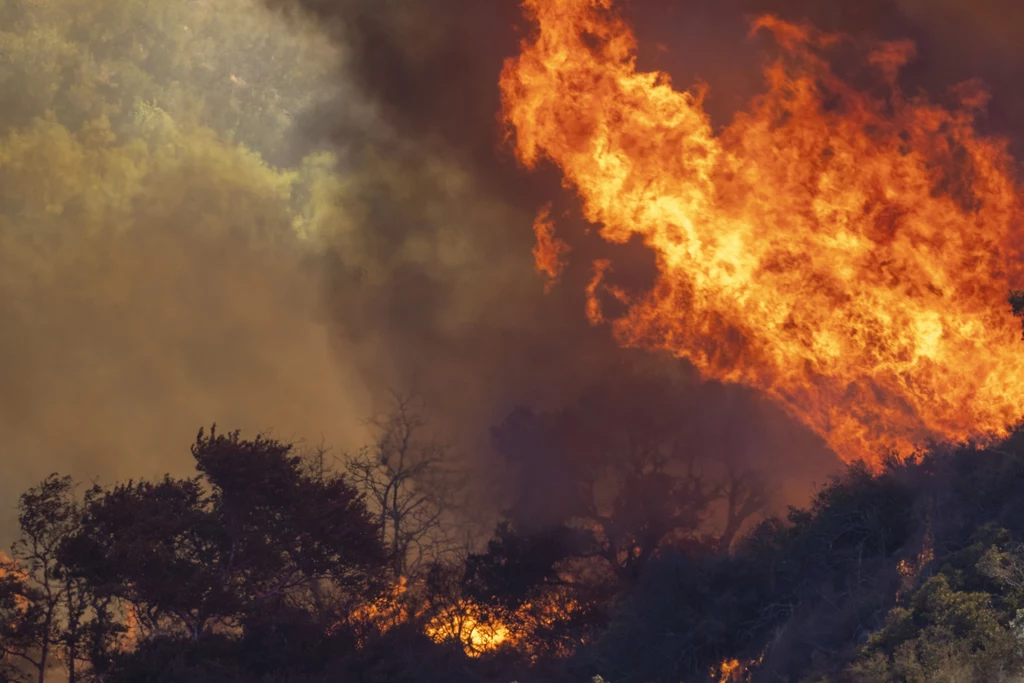 Obecny rok będzie prawdopodobnie najgorszym w historii pożarów Kalifornii