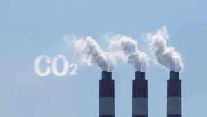 Felieton Gwiazdowskiego: Energetyczna pańszczyzna, czyli wszystko wraca do korzeni
