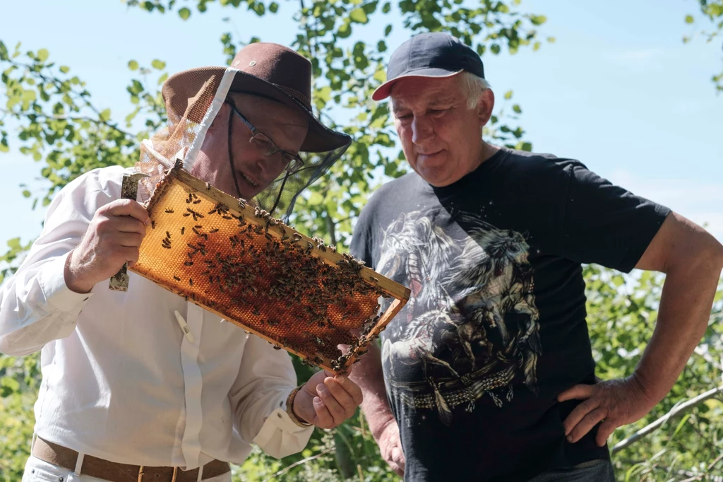 Jurek chce zdobyć jak najwięcej informacji na temat pszczół