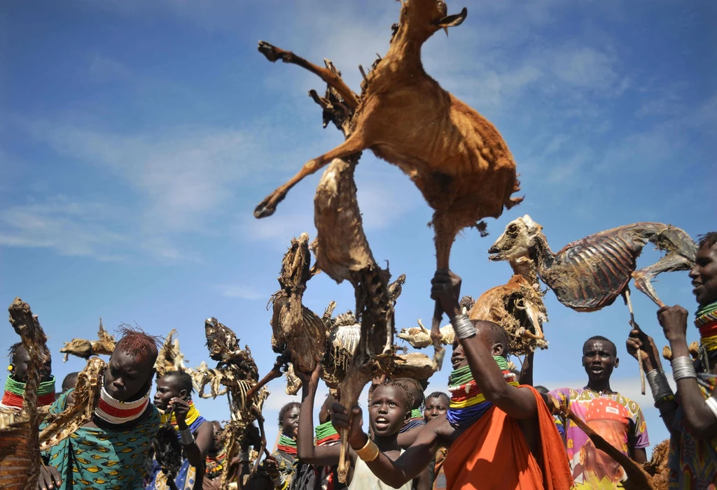 Kenijczycy pokazują martwe zwierzęta, które padły z powodu suszy, 2017 r