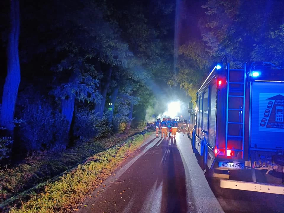 Cztery osoby spłonęły w samochodzie, który rozbił się na drzewie w okolicach Romanowa na Mazowszu. Do tragicznego wypadku doszło w nocy z piątku na sobotę (Źródło: OSP Zalesie) 