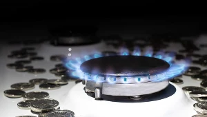 Europa liczy, że ceny gazu się uspokoją