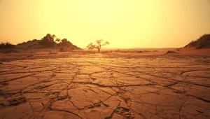 Świat, jak z Mad Maxa. Naukowcy sprawdzili, jaki będzie klimat po 2100 r.