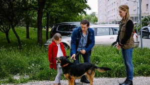 Na Wspólnej