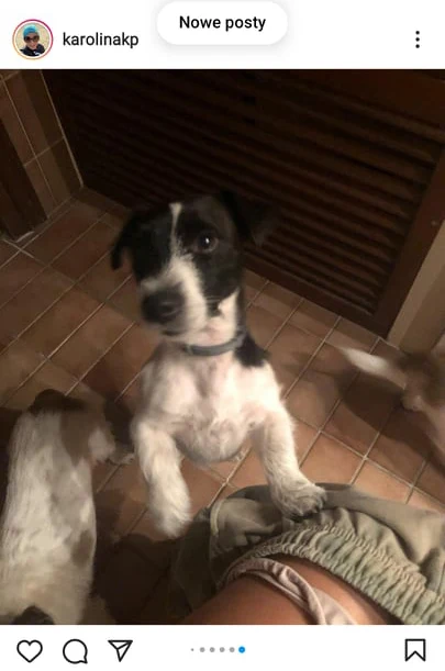 fot. karolinakp