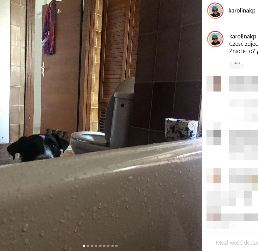 fot. karolinakp