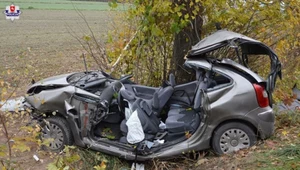 Lubelskie. Samochód wjechał w drzewo, trzy osoby ranne