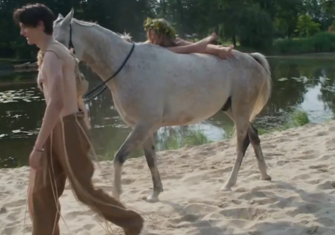 Screen z Player, z programu "Top Model" Screen z Player, z programu "Top Model"