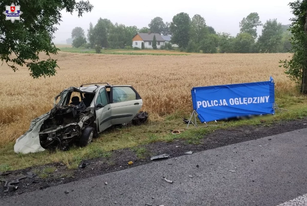 Kierowca Renault zginął na miejscu