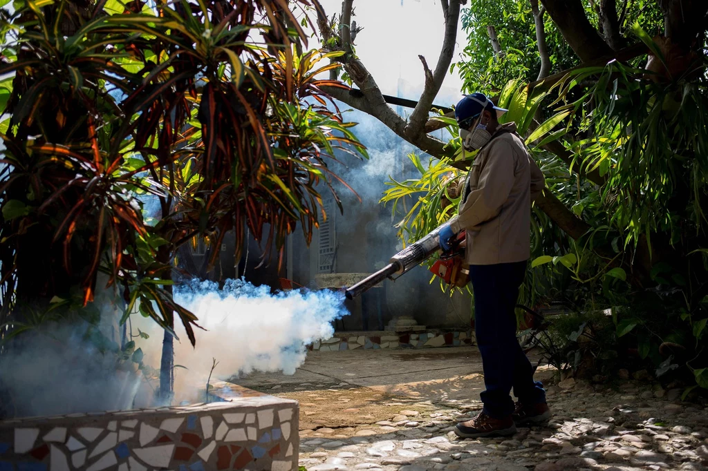Dezynfekcja ścieków przeciwko przenoszącym malarię komary, Barcelona 