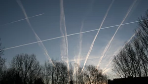 Białe smugi na niebie. Czym są „chemtrails”?