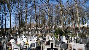zdjęcie ilustracyjne / Cmentarz św. Ignacego 