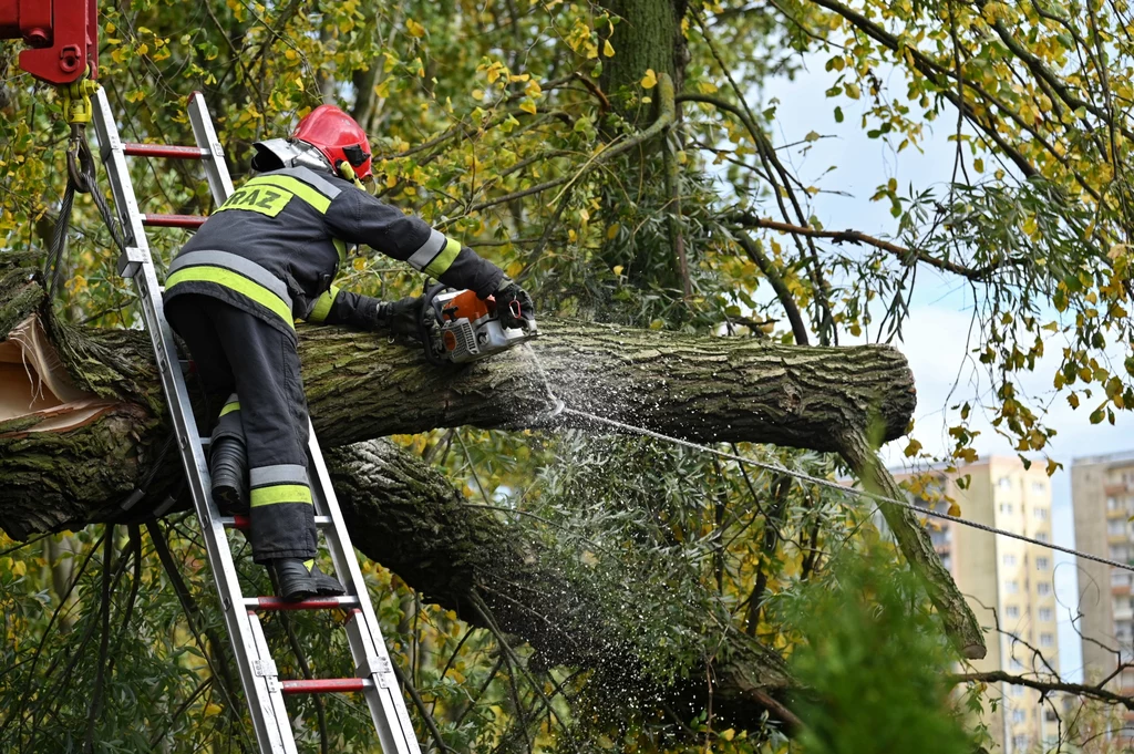 Usuwanie skutków wichur w Szczecinie Usuwanie skutków wichur w Szczecinie