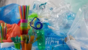 Raport: Do 2030 r. plastik może stać się bardziej emisyjny od węgla 