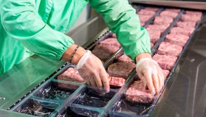 Wzrost kosztów produkcji i zatrudnienia bije w firmy