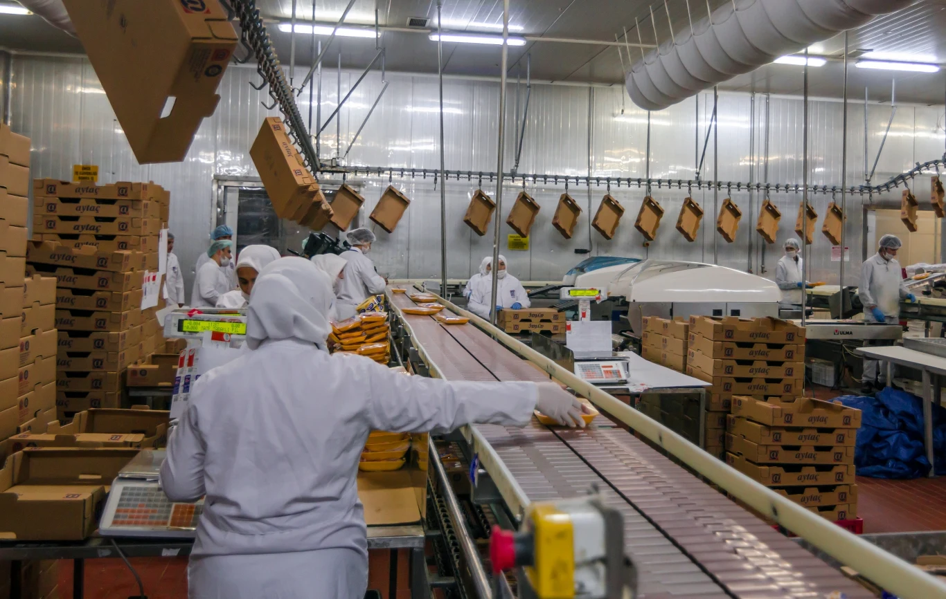 Zadłużenie polskich przedsiębiorstw z branży rolno-spożywczej wynosi 534 mln zł. 