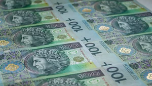 Dług publiczny. Polska na spłatę odsetek musi przeznaczać co roku 3 proc. swojego PKB. Zdj. ilustracyjne