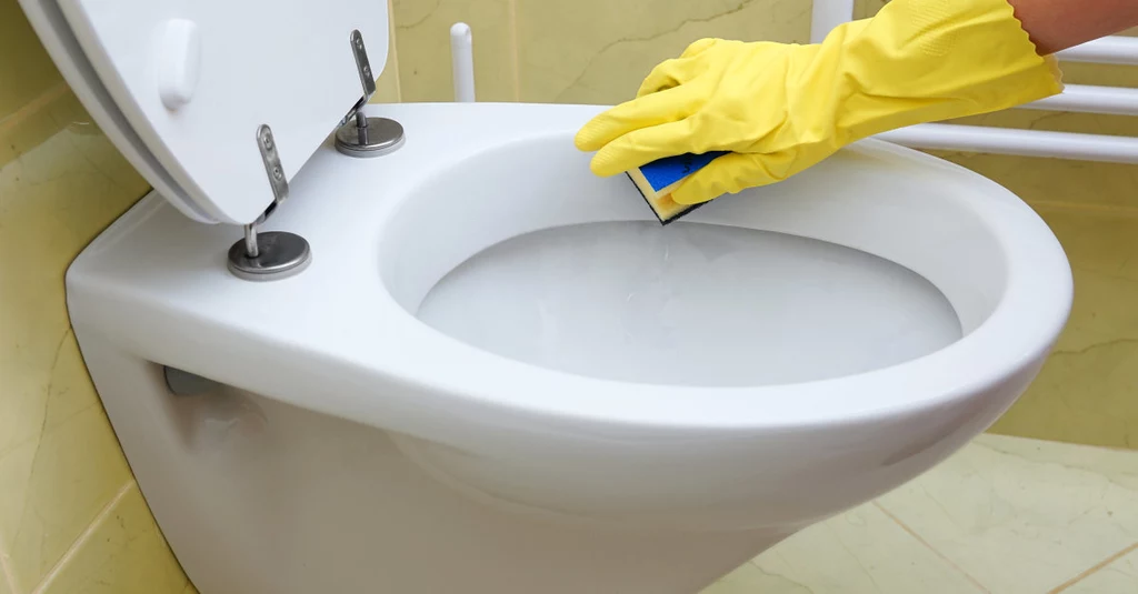 Czosnek może okazać się skuteczny w czyszczeniu toalety