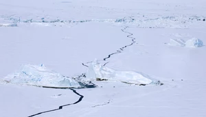 Jak topnieją lodowce na Antarktydzie? Nowe obserwacje NASA