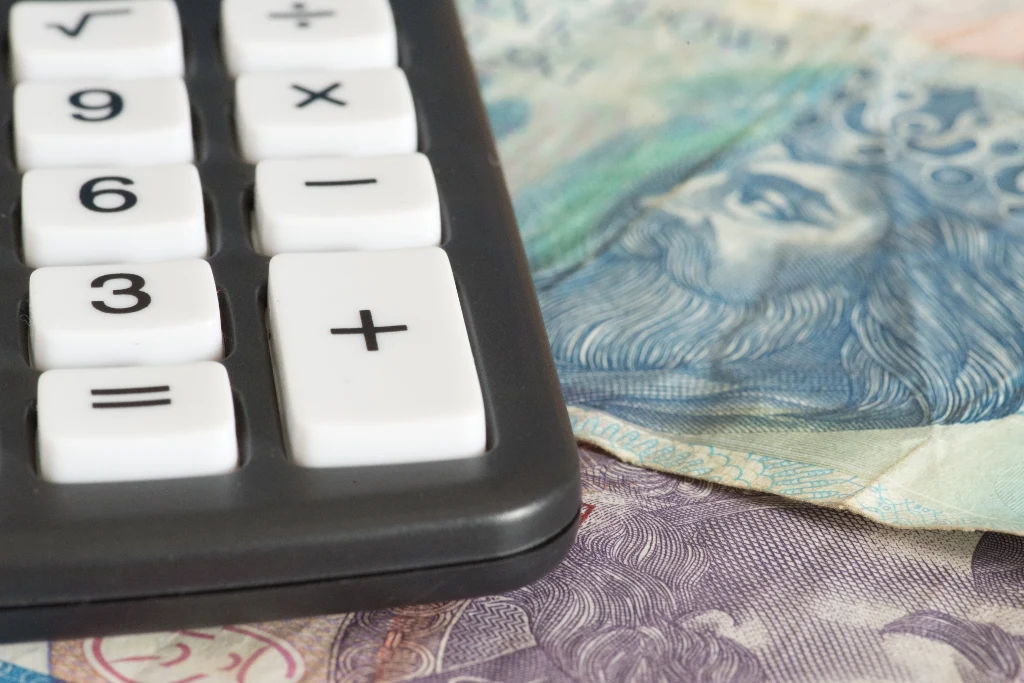 Czym jest PPK? System oszczędnościowy umożliwia gromadzenie środków z pomocą pracodawcy i państwa.