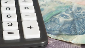 Ile kosztują dolar, euro i frank 30.06.2025 roku? Zdj. ilustracyjne