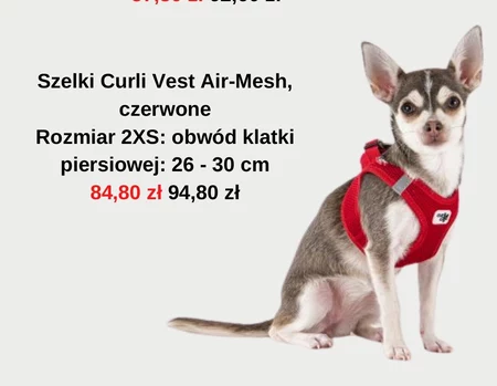 Szelki dla psa