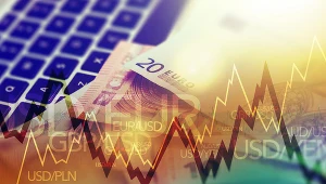 Kursy walut wysokie, ale stabilne
