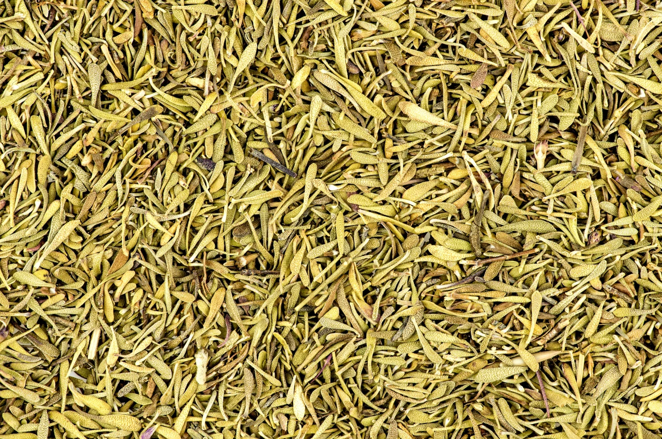 Tymianek ma charakterystyczny smak, ale słynie też z właściwości zdrowotnych