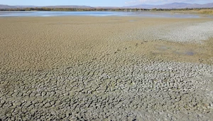 Największe jezioro sodowe na świecie znika w oczach. Wszystko z powodu zmian klimatu