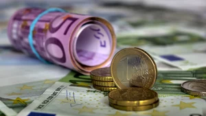 Zdaniem eurosceptyków chorwacka gospodarka jest zbyt słaba i nie dość konkurencyjna, by móc przyjąć euro