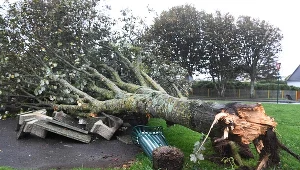 2021 rekordowy pod względem anomalii pogodowych