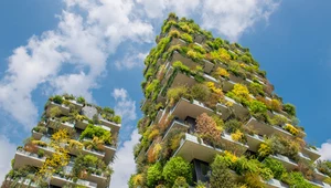 Tak dziś wygląda Bosco Verticale, pionowy las na apartamentowcach