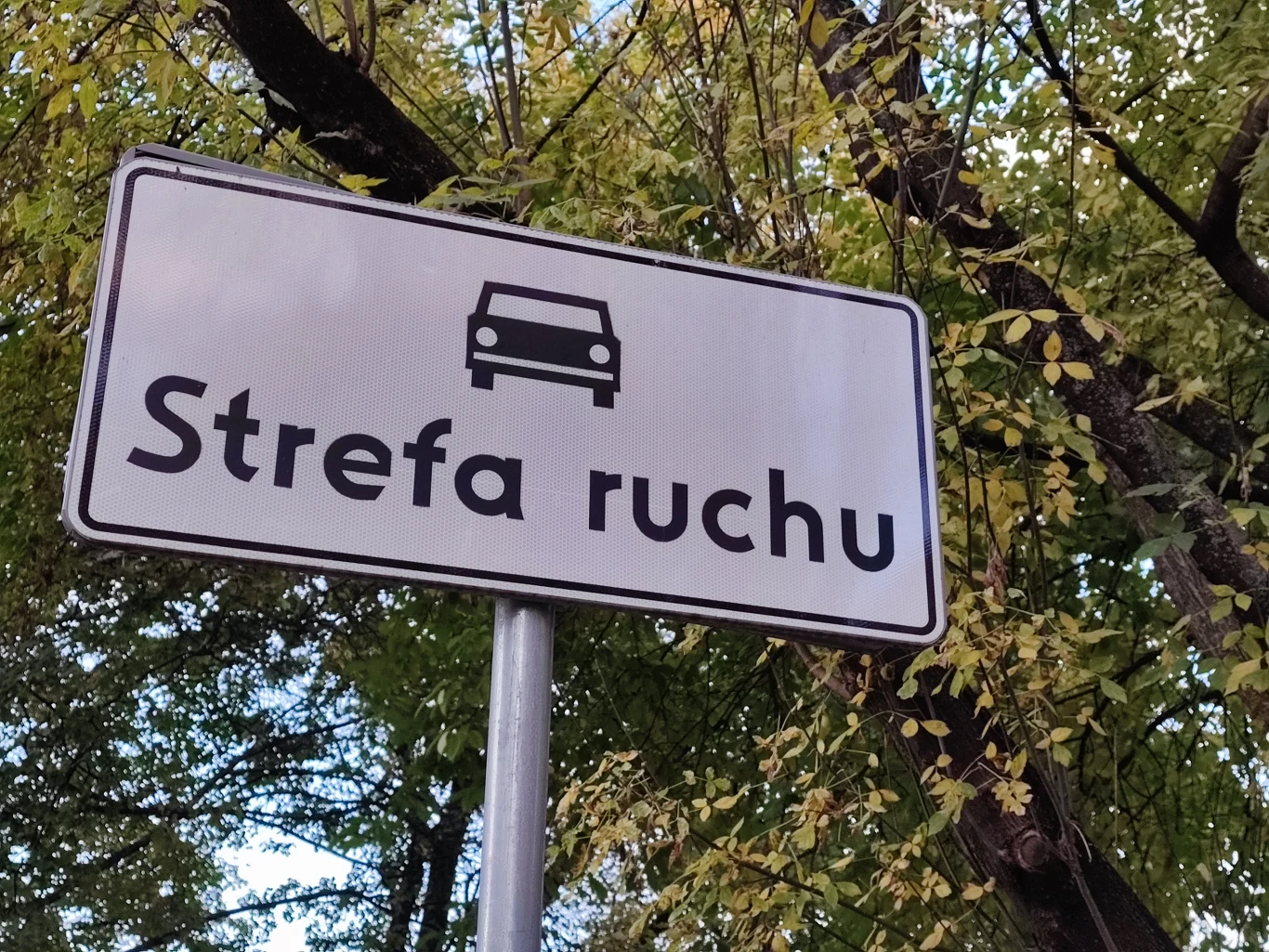 Xiaomi 11T Pro - zdjęcie wykonane smartfonem (zoom x5)