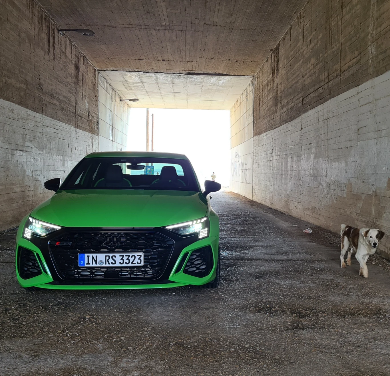 Audi RS3. Pierwsza jazda. Grecja