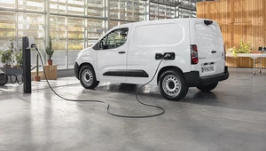 Stellantis pod ścianą. Elektryfikacja albo 2,6 mld euro kary