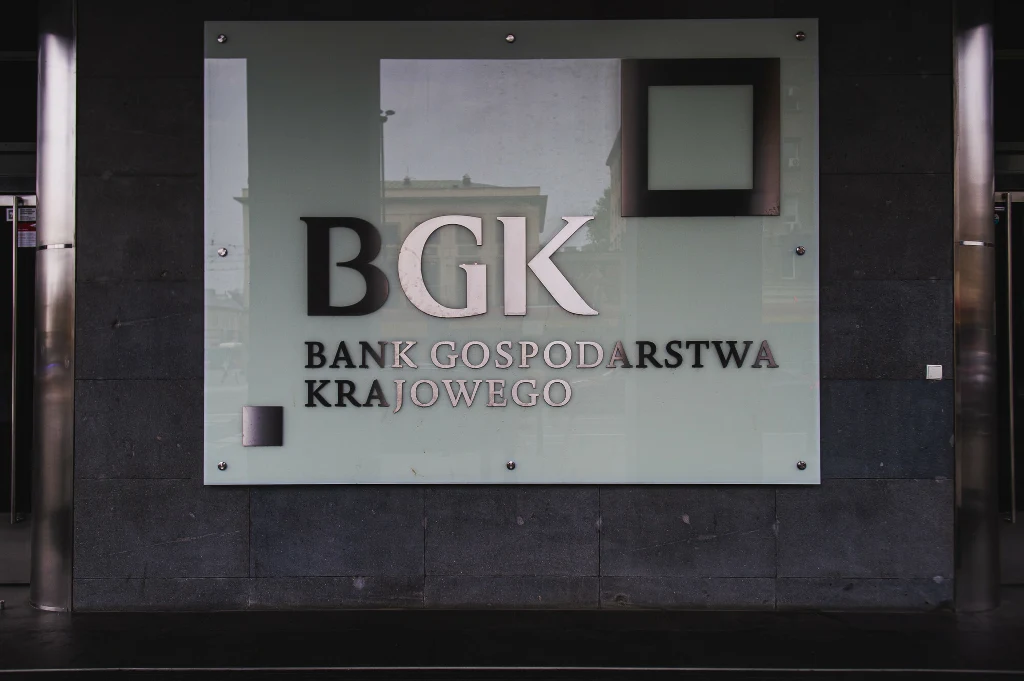 Bank Gospodarstwa Krajowego i NBP mogą wkrótce odegrać nową rolę w finansowaniu wydatków państwa