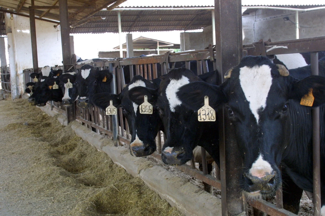 Zdjęcie ilustracyjne Zdjęcie ilustracyjne