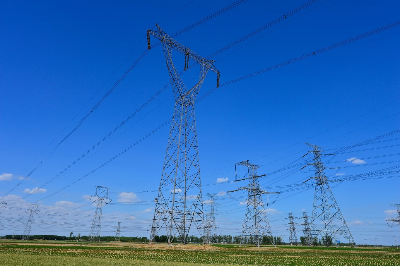 Już większość krajów UE ogłosiła dopłaty do energii, by pomóc rodzinom lub firmom najbardziej dotkniętym podwyżkami Już większość krajów UE ogłosiła dopłaty do energii, by pomóc rodzinom lub firmom najbardziej dotkniętym podwyżkami