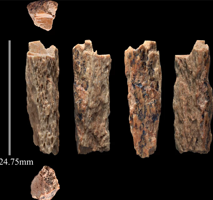 Kości nastolatki z Denisowej Jaskini, które nie należą ani do neandertalczyka, ani denisowca