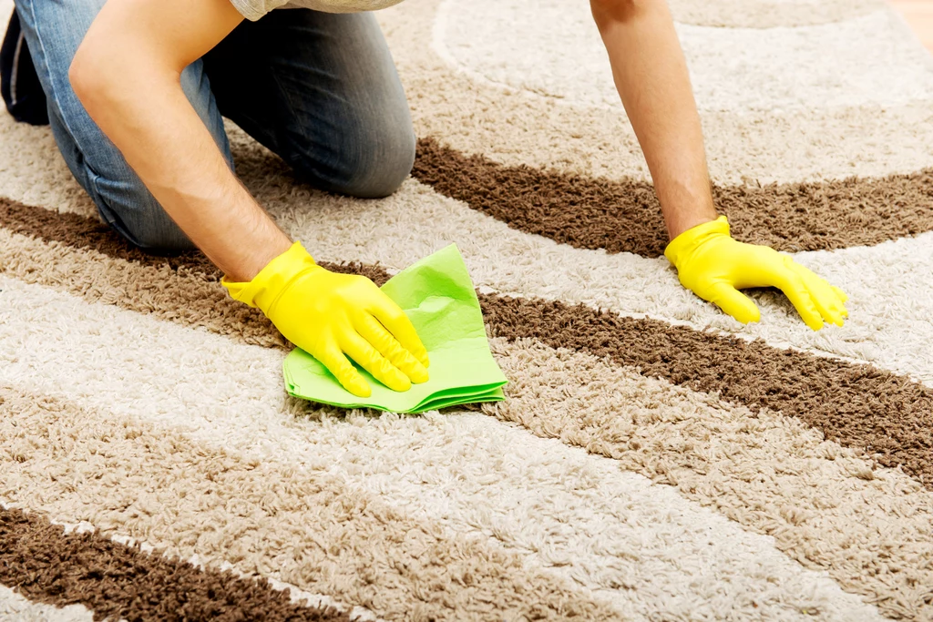 Jak odświeżyć dywan domowymi metodami?