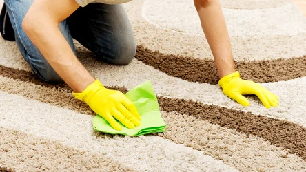 Jakie są najlepsze sposoby na wyczyszczenie dywanu? 