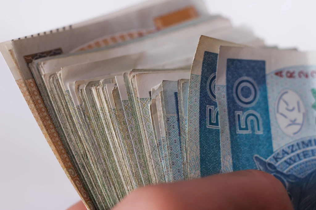 Polacy odkładają przede wszystkim na "czarną godzinę"