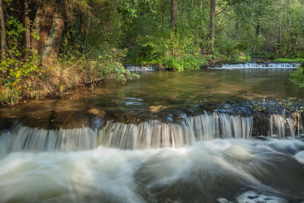 Rezerwat nad Tanwią zachwyca o tej porze roku 