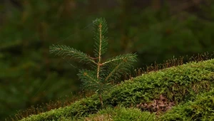 A co ty robisz dla klimatu? Greenwashing i zrzucanie odpowiedzialności