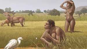 Homo bodoensis. Naukowcy nazwali nowy gatunek człowieka